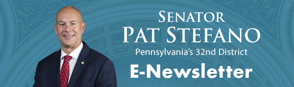 Senator Stefano E-Newsletter